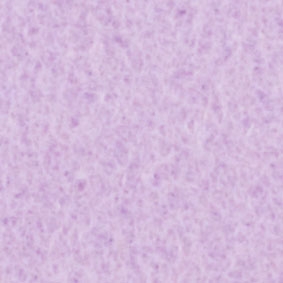 聚酯絲不織布-紫丁香