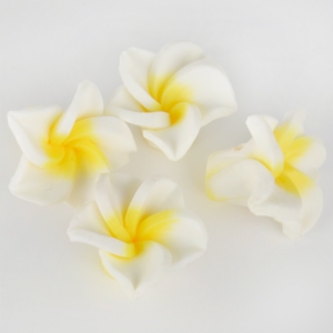 軟陶雞蛋花(白)