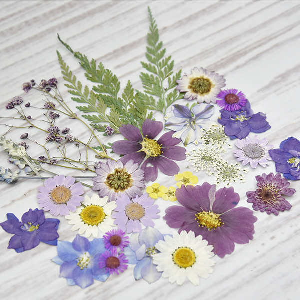 乾燥花-花園系-深紫