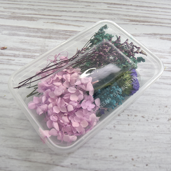 天然乾燥花盒-綠/紫